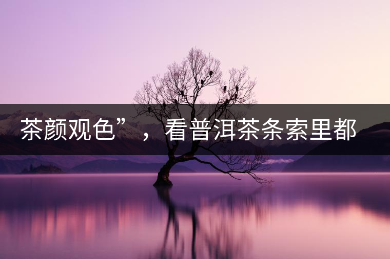 茶顏觀色”，看普洱茶條索里都蘊含著怎樣的“密碼”？