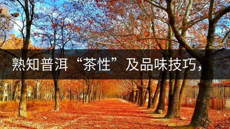 熟知普洱“茶性”及品味技巧，方能品出好茶