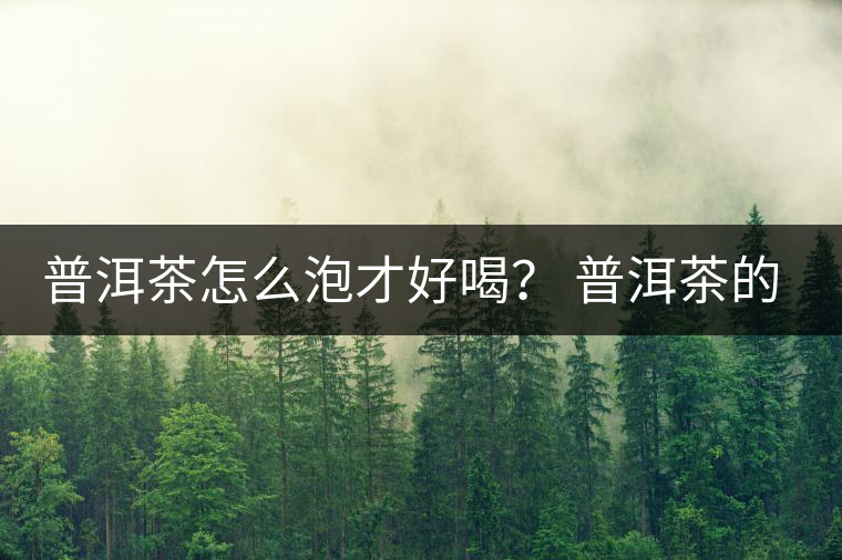 普洱茶怎么泡才好喝？ 普洱茶的沖泡技巧！