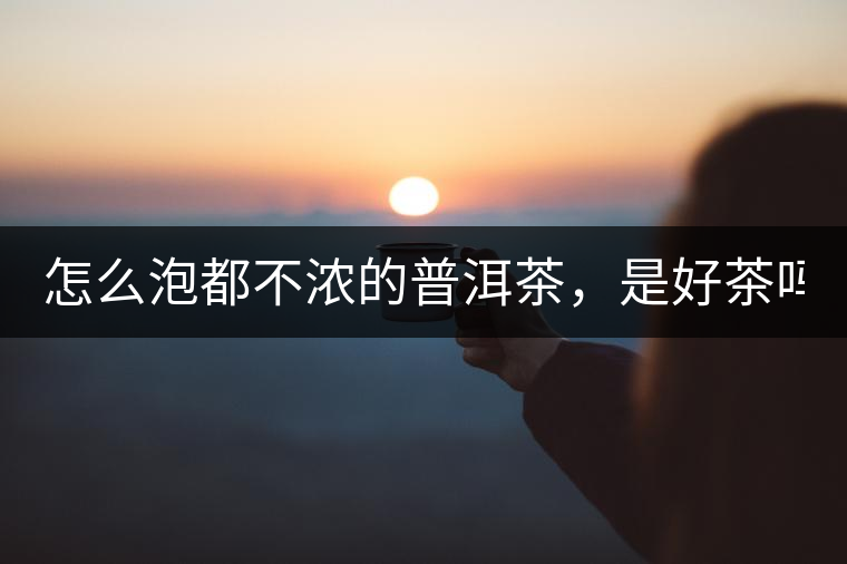 怎么泡都不濃的普洱茶，是好茶嗎？