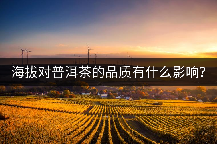 海拔對普洱茶的品質有什么影響？