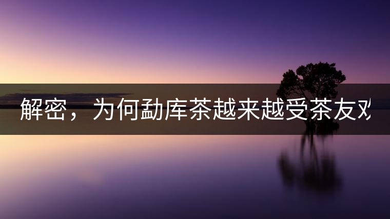 解密，為何勐庫(kù)茶越來(lái)越受茶友歡迎！