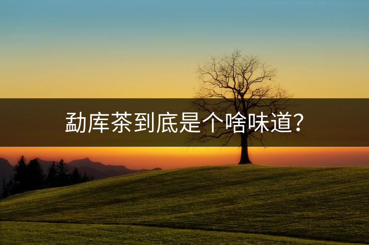 勐庫(kù)茶到底是個(gè)啥味道？