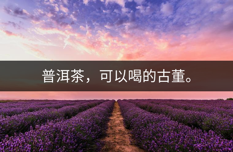 普洱茶，可以喝的古董。