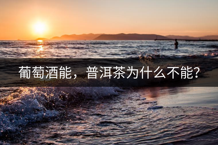 葡萄酒能，普洱茶為什么不能？