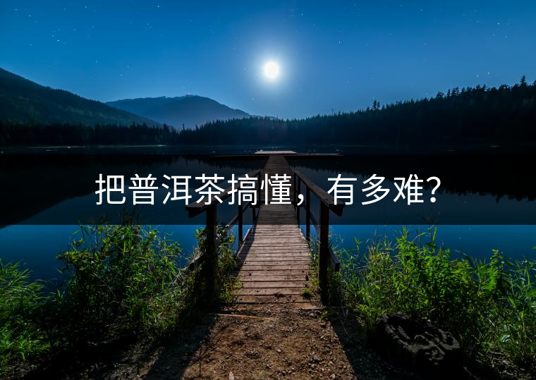 把普洱茶搞懂，有多難？