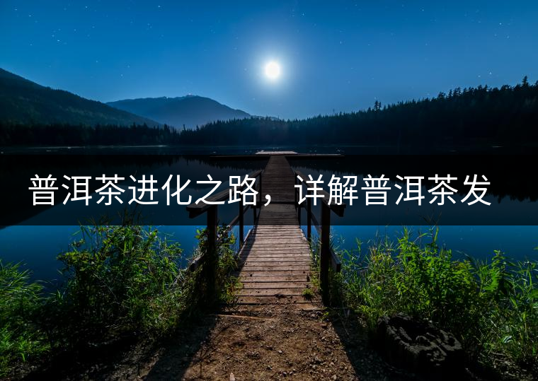 普洱茶進(jìn)化之路，詳解普洱茶發(fā)展的三大重要階段