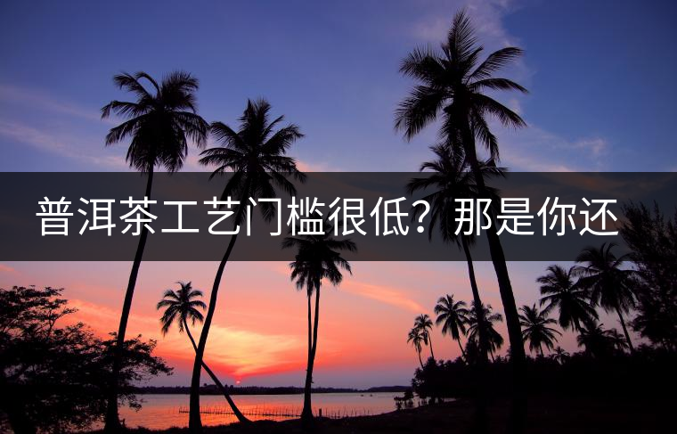 普洱茶工藝門檻很低？那是你還沒有參透工藝與自然之間的奧秘！