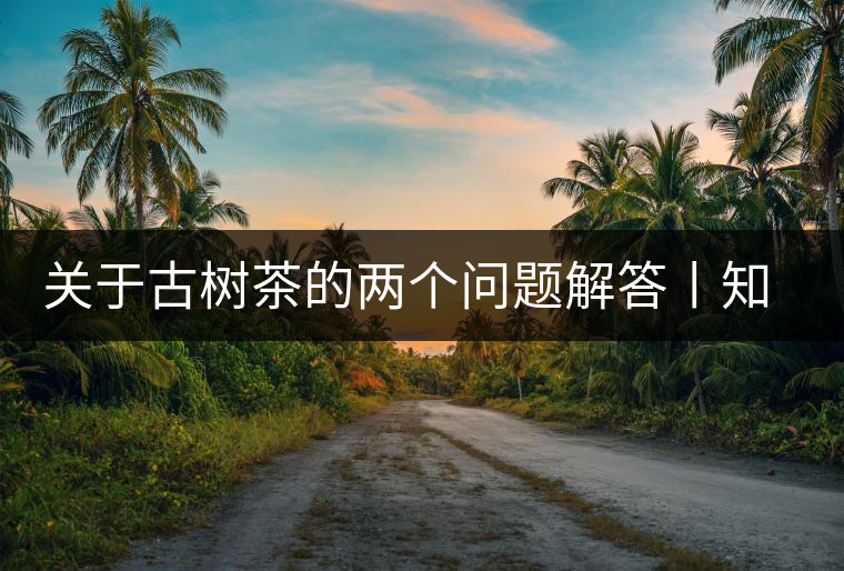 關(guān)于古樹茶的兩個(gè)問(wèn)題解答丨知識(shí)