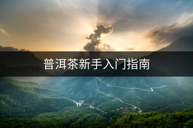 普洱茶新手入門指南 普洱茶新手入門指南