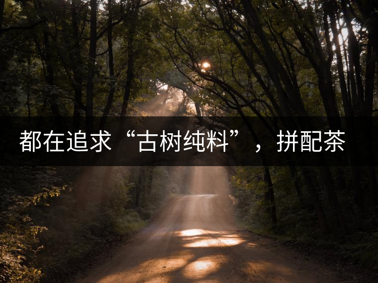 都在追求“古樹(shù)純料”，拼配茶真的不如純料的？