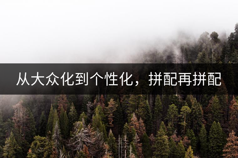 從大眾化到個(gè)性化，拼配再拼配