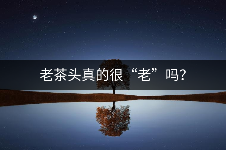 老茶頭真的很“老”嗎？