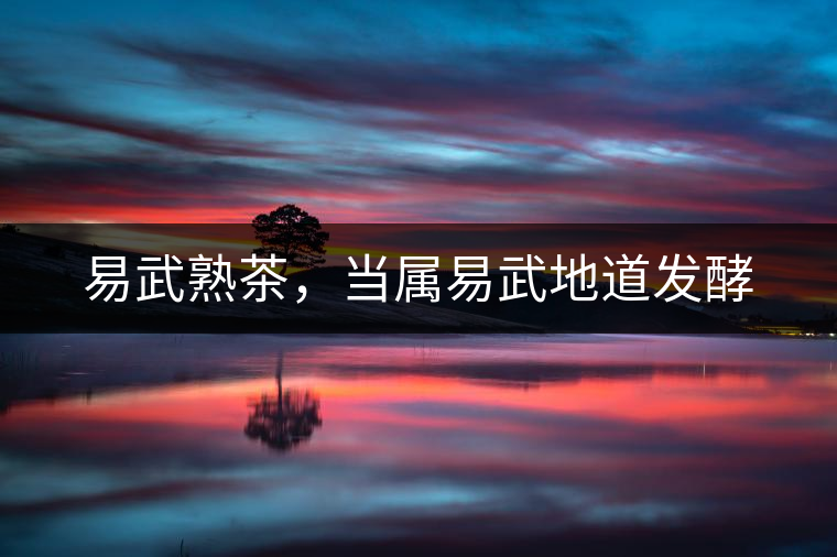 易武熟茶，當(dāng)屬易武地道發(fā)酵