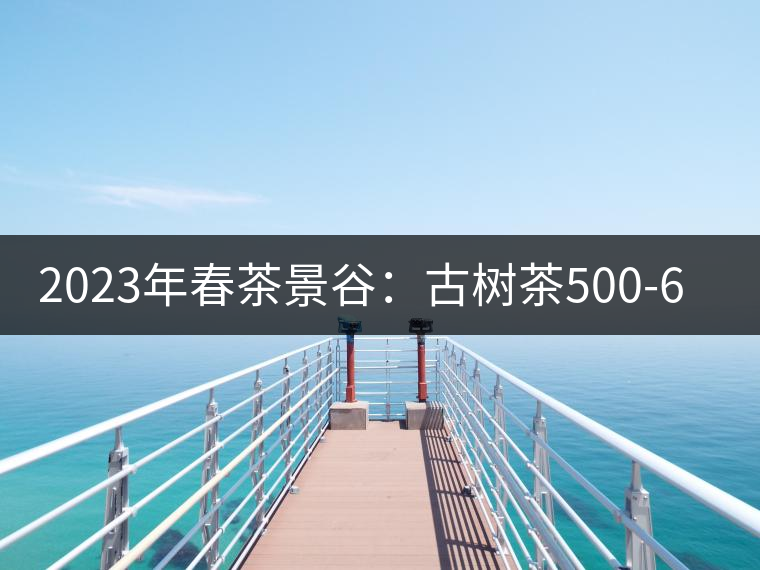 2023年春茶景谷：古樹(shù)茶500-600元／公斤，紫芽茶300-480元／公斤，白芽茶1200-2000元／公斤。