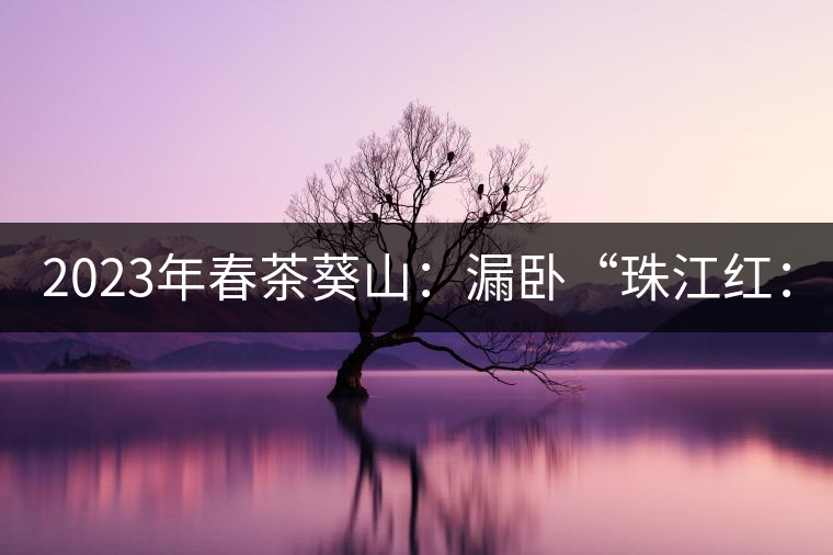 2023年春茶葵山：漏臥“珠江紅：1200元-3200元（有3個(gè)檔次）漏臥“大廠茶”：古樹單株8600-9000元／公斤，中樹4800-5200元／公斤，小樹混采2600-2800元／公斤。