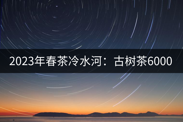 2023年春茶冷水河：古樹(shù)茶6000-6500元／公斤