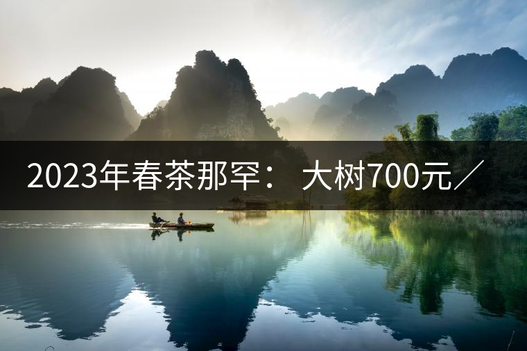 2023年春茶那罕： 大樹(shù)700元／公斤，古樹(shù)：1200-1600元／公斤