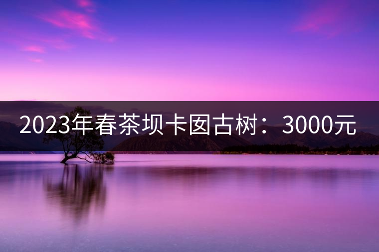2023年春茶壩卡囡古樹(shù):3000元/kg小樹(shù):1200元/Kg 2023年春茶壩卡囡古樹(shù):3000元/kg小樹(shù):1200元/Kg