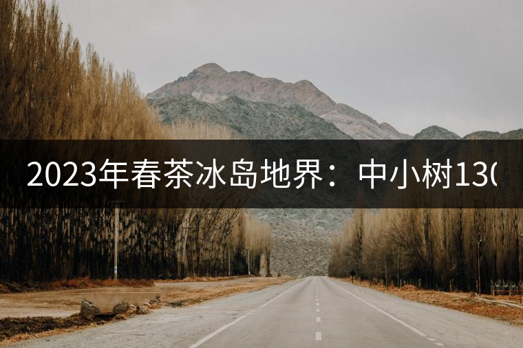 2023年春茶冰島地界：中小樹1300-1500元／公斤，古樹2200~2500元／公斤
