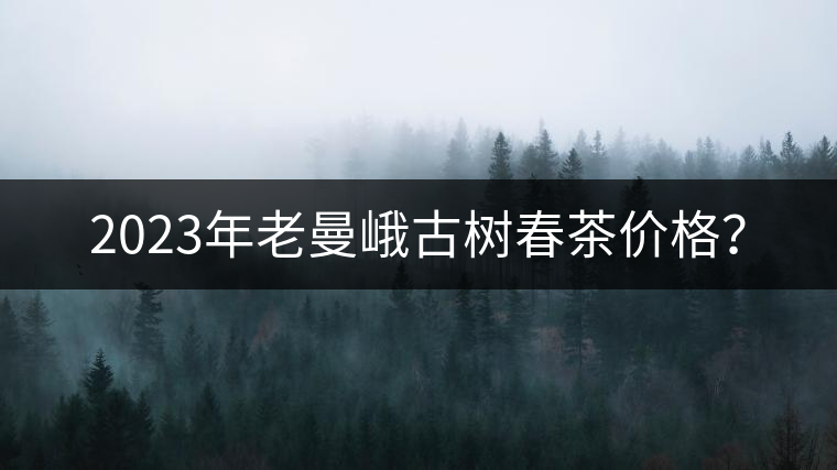 2023年老曼峨古樹(shù)春茶價(jià)格？