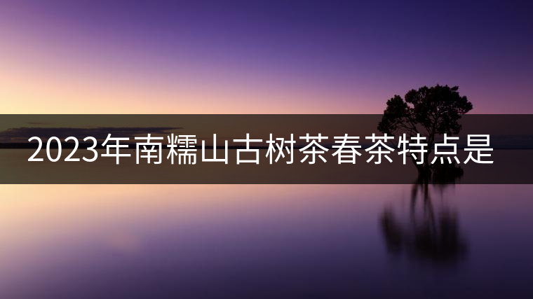 2023年南糯山古樹茶春茶特點(diǎn)是什么？
