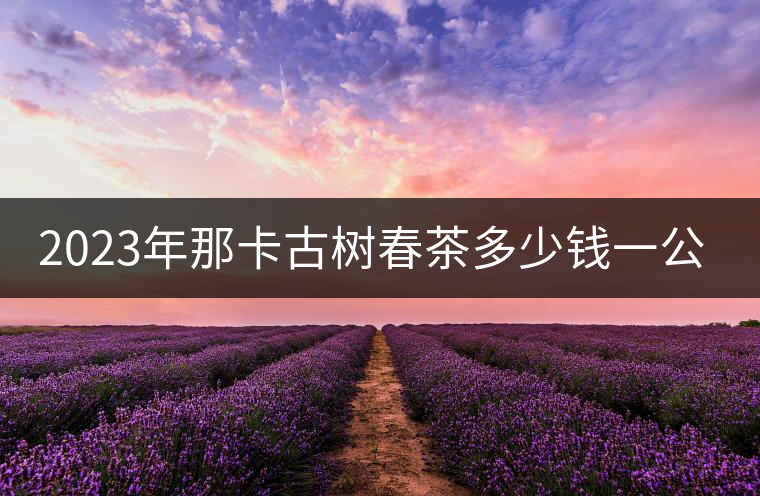 2023年那卡古樹春茶多少錢一公斤？
