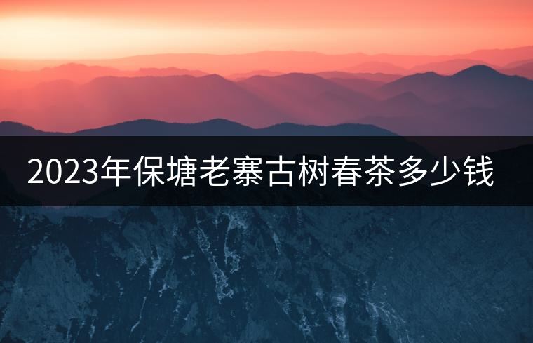 2023年保塘老寨古樹春茶多少錢一公斤？