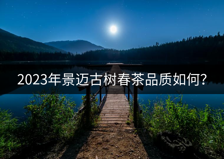 2023年景邁古樹春茶品質(zhì)如何？