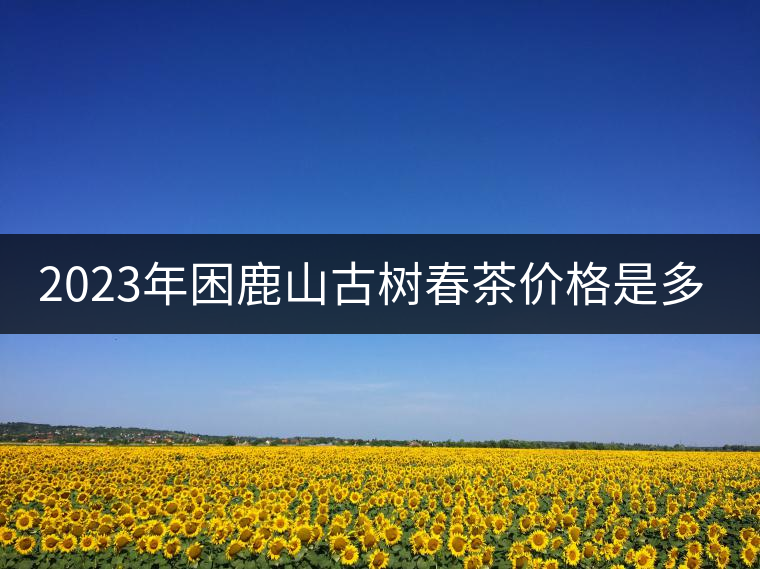 2023年困鹿山古樹(shù)春茶價(jià)格是多少？