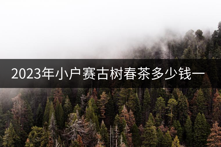 2023年小戶賽古樹春茶多少錢一公斤？