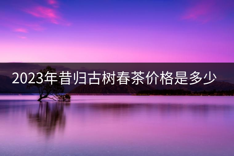 2023年昔歸古樹(shù)春茶價(jià)格是多少？