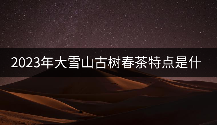 2023年大雪山古樹春茶特點(diǎn)是什么？