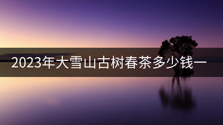 2023年大雪山古樹春茶多少錢一公斤？