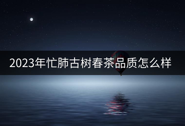 2023年忙肺古樹春茶品質怎么樣？