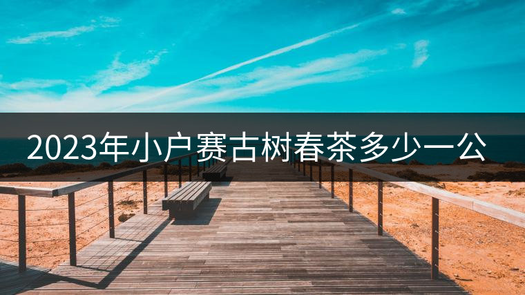 2023年小戶賽古樹春茶多少一公斤？