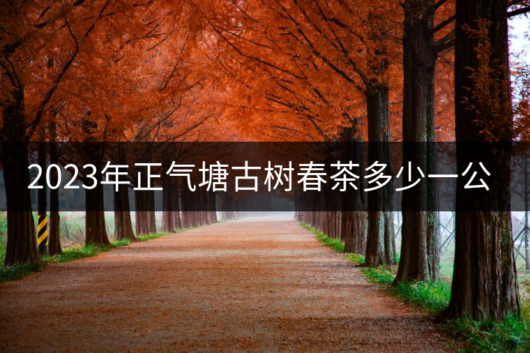 2023年正氣塘古樹春茶多少一公斤？