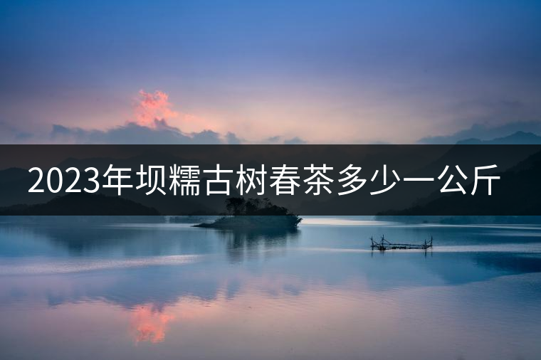 2023年壩糯古樹春茶多少一公斤？