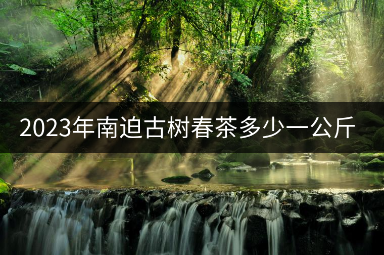 2023年南迫古樹春茶多少一公斤？