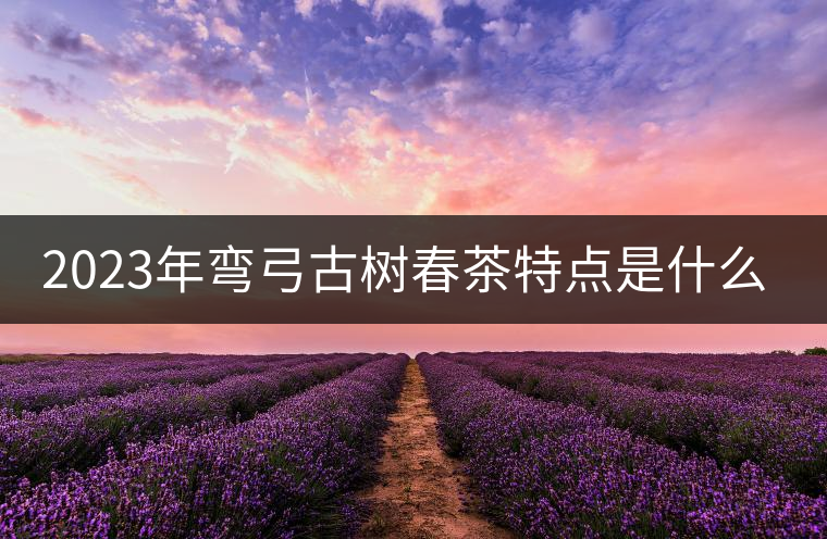 2023年彎弓古樹春茶特點(diǎn)是什么？