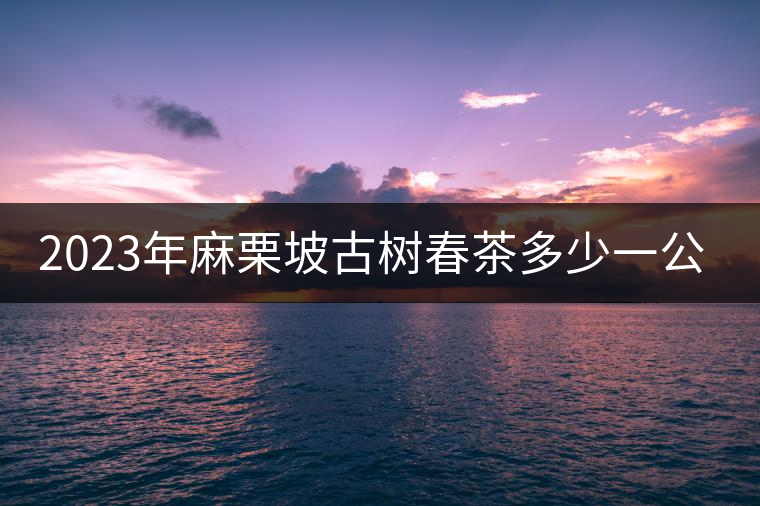 2023年麻栗坡古樹春茶多少一公斤？