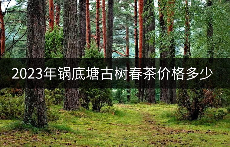 2023年鍋底塘古樹(shù)春茶價(jià)格多少？