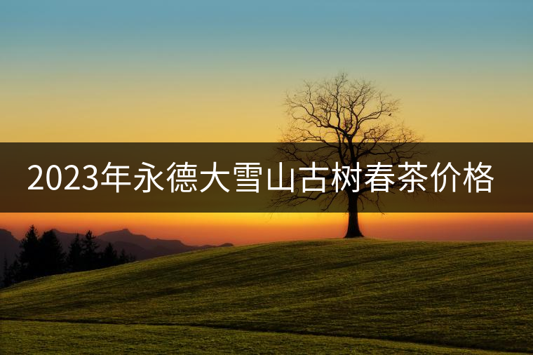 2023年永德大雪山古樹春茶價格是多少？