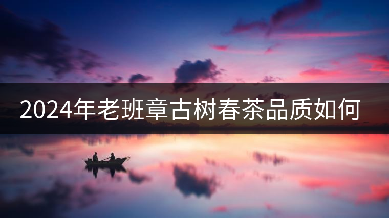 2024年老班章古樹春茶品質(zhì)如何？