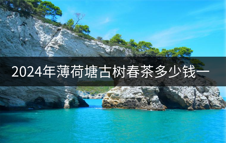 2024年薄荷塘古樹春茶多少錢一公斤？