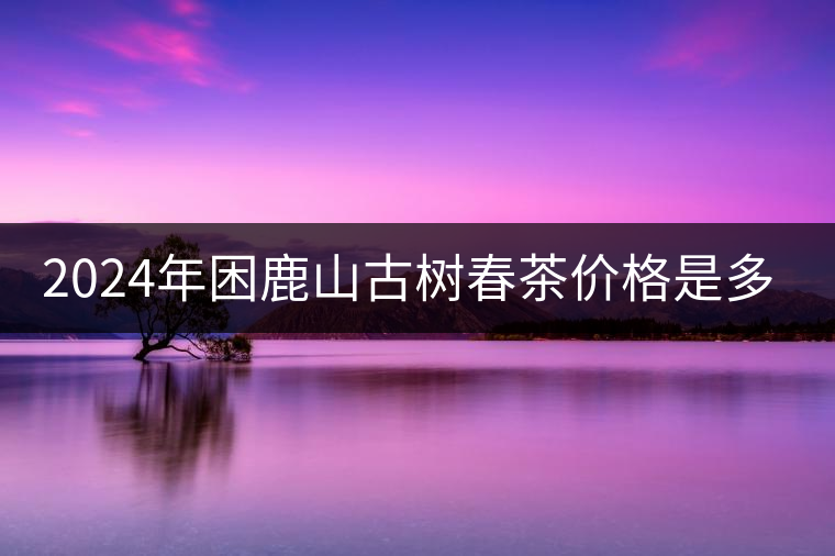 2024年困鹿山古樹(shù)春茶價(jià)格是多少？