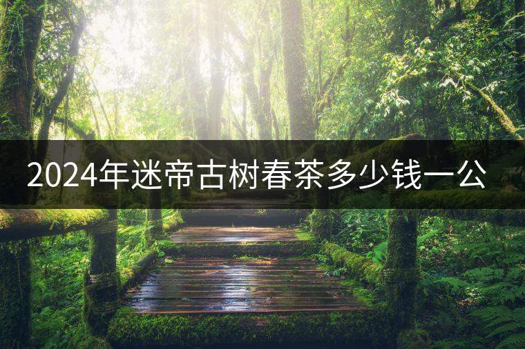 2024年迷帝古樹春茶多少錢一公斤？