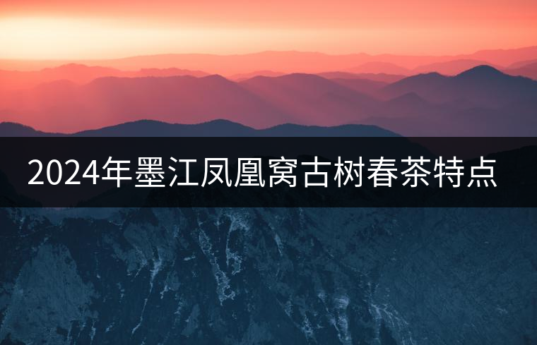 2024年墨江鳳凰窩古樹春茶特點(diǎn)是什么？