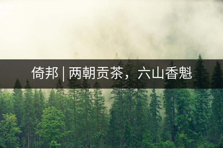 倚邦 | 兩朝貢茶，六山香魁