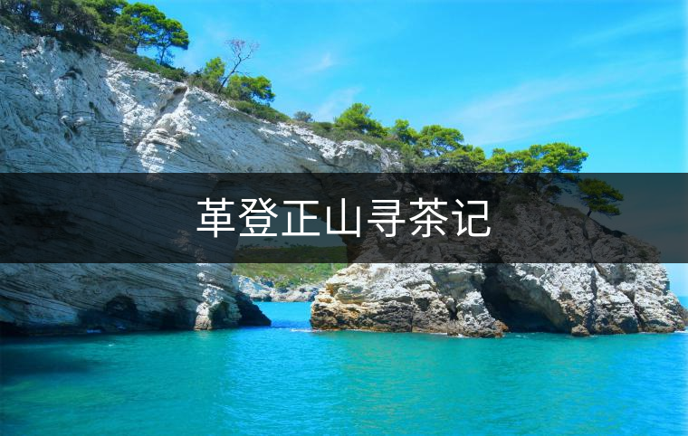 革登正山尋茶記
